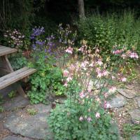 La terrasse en fleurs des artistes par Rémi Noël